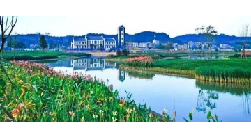 廣西梧州蒼海國家濕地公園生態建設項目榮獲2022年梧州市“云峰杯”優質工程獎