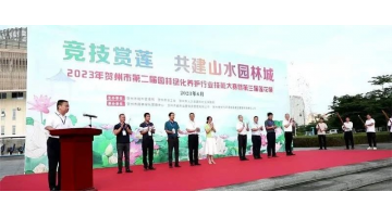 生態之美 | 賀州市愛蓮湖公園成“打卡地”