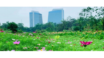 再添一標 | 科麗特中標南寧城市內河河道運維服務項目