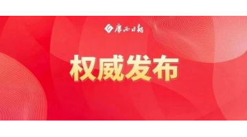 陳剛：堅持標本兼治聚力排查整治守牢生態底線，扎實推動有色金屬產業高質量發展