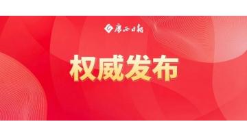 陳剛：標本兼治疏堵結合縱深推進排查整治，推動有色金屬特別是關鍵金屬產業高質量發展